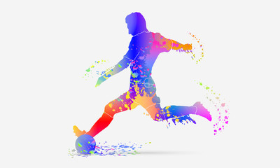 Obraz na płótnie Canvas colorful football soccer