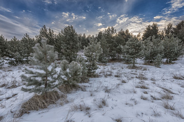 Landscapes in Siberia.