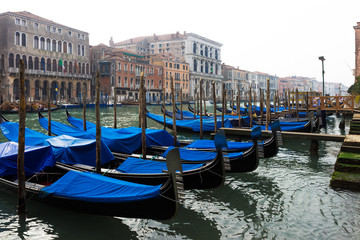 Fototapeta premium Gondolas moored along the Grand Canal in Venice