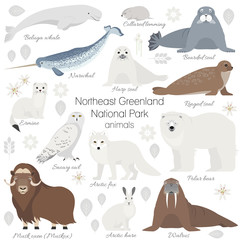 Greenland National park animal set. White polar bear, narwhal, whale, musk ox, seal, walrus, arctic fox, ermine rabbit arctic hare - obrazy, fototapety, plakaty