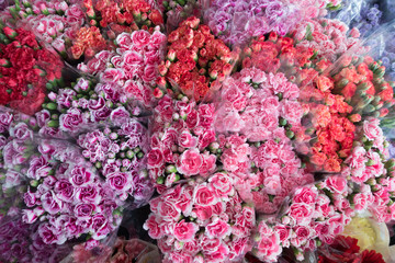 Beautiful carnation for sell in Pak Khlong Talat, Bangkok's larg