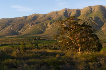 Deurstickers Scenic near Montagu, South Africa © jon11