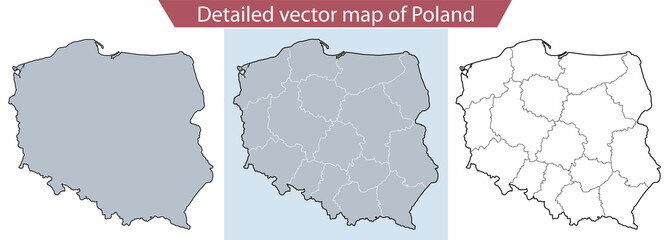 Detailed vector map of Poland