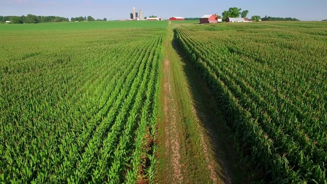 Scenic dirt road through corn fields, farms in distance, aerial view.
