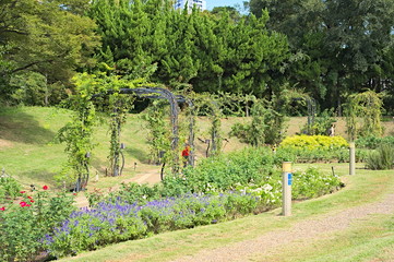 バラ園