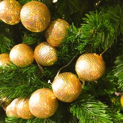 Gold christmas ball on pine tree