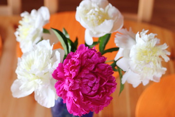 red and white peonies