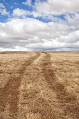 Dirt track in a paddock