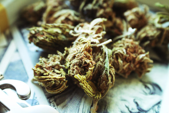 Marijuana Buds High Quality 