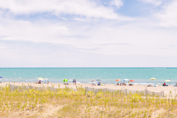 Beach with colorful umbrellas, wooden fences and wildlife.