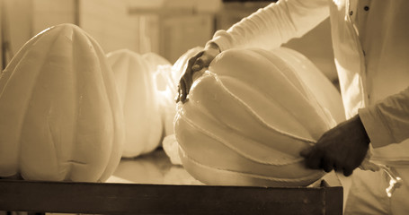 Production of provolone cheese.