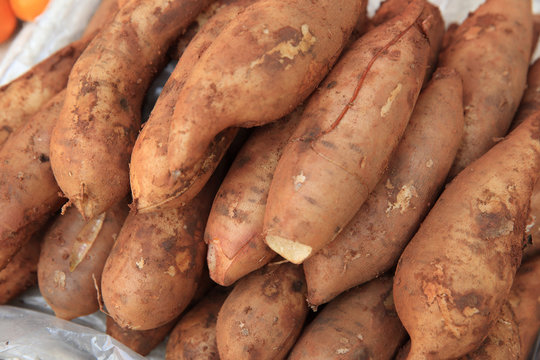 fresh yacon selling at market