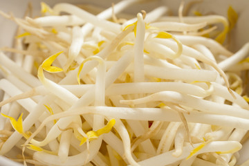 fresh mung bean sprouts