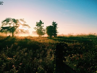 sunrise in morning