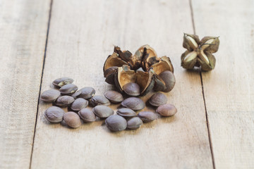 dried capsule seeds fruit of Sacha Inchi peanut on wooden