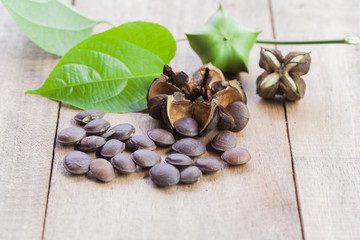 Obraz na płótnie Canvas dried capsule seeds fruit of Sacha Inchi peanut on wooden