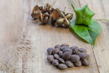 dried capsule seeds fruit of Sacha Inchi peanut on wooden