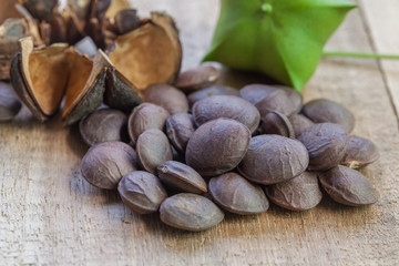dried capsule seeds fruit of Sacha Inchi peanut on wooden