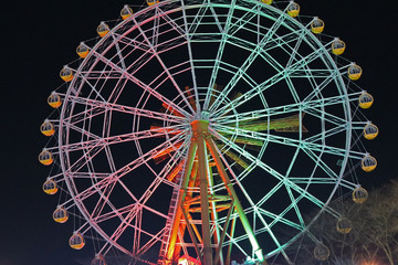 東武動物公園 イルミネーション