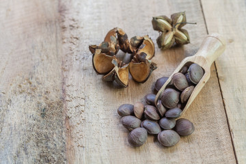Fototapeta na wymiar dried capsule seeds fruit of Sacha Inchi peanut on wooden