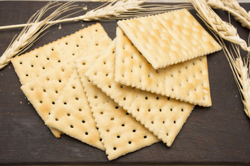 

salty cracker