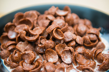 cereals chocolate with fresh milk