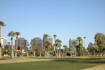 Fototapeta na wymiar Phoenix Downtown as seen from Encanto Park, AZ