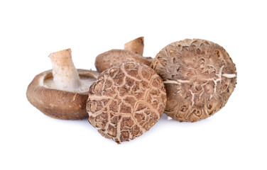 fresh Shiitake mushroom on white background