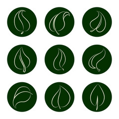 Eco icon set vector illustration. Outline leaves icons on green backgrop