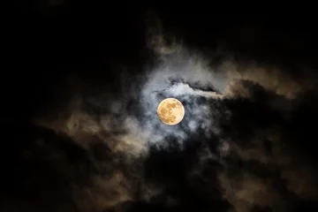 Foto auf Acrylglas night sky with moon and cloud © Thasist
