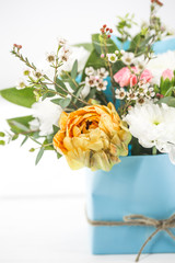 live spring flowers on white background