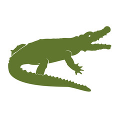 Green crocodile vector