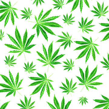 Bright green cannabis sativa leaf painted in watercolor. Hand drawn marijuana illustration isolated on white background. Design element © chumakova
