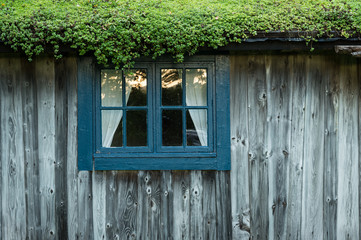 Old Tree Moss Cottage Hut with window