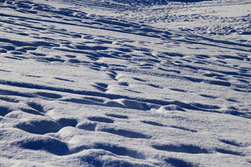 Snow scene in the city of Sapporo