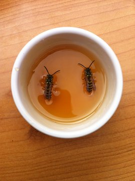 Bienen 