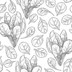 Seamless pattern with spinach. Contour vector illustration. Food background.