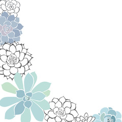 Floral background with succulents and place for text. May be an invitation, greeting card or element your design.