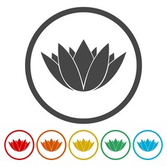 Lotus silhouette icons set 