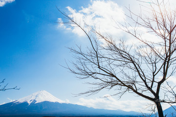 Kawaguchiko lake of Japan,Mount Fuji, Kawaguchi Lake, Japan