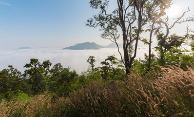 Fototapeta na wymiar Landscape and sea of fog over Phu Thok Mountain