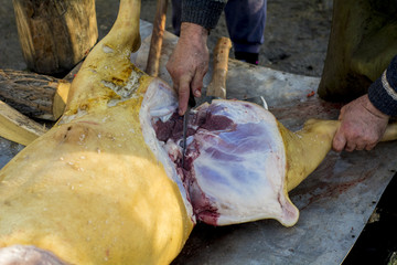 Man cutting meat from a sacrificed pig