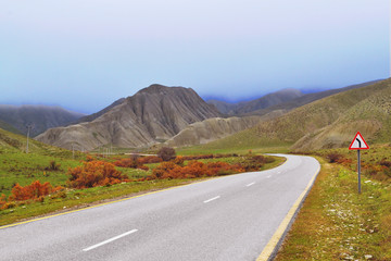 Road to the mountains