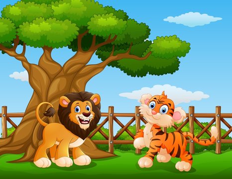Animals lion and tiger beside a tree inside the fence