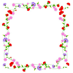 beautiful  flowers, on a white