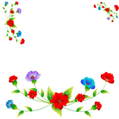 beautiful  flowers, on a white