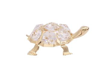 gold brooch turtle isolated on white