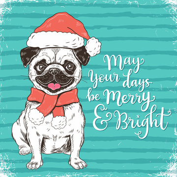 Merry Christmas greeting card with funny pug dog in Santa hat, vector illustration