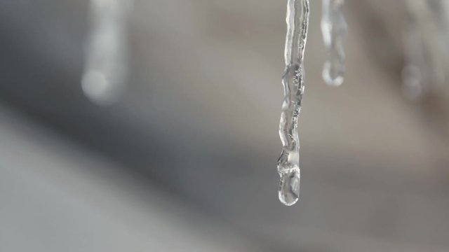 Macro shot of ice stalactite melting during end of winter or beginning of spring