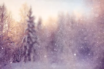Gordijnen ijzig winter ochtend landschap natuur zonnig © kichigin19